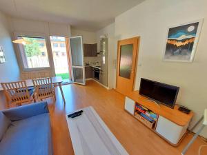 TV a/nebo společenská místnost v ubytování Horský apartmán s oplocenou zahradou