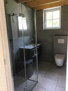 W łazience znajduje się prysznic, umywalka i toaleta. w obiekcie De Dagloner w mieście Nieuwlande