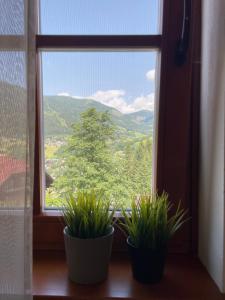 two potted plants sitting in a window with a view at 2 Bedroom Ski in Ski Out in Bach