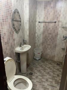 a bathroom with a toilet and a sink at HOTEL ROBIN in Amritsar