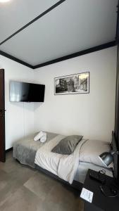 um quarto com uma cama e uma televisão de ecrã plano em Belweder LOFT em Nysa