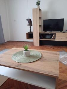TV a/nebo společenská místnost v ubytování Carpe Diem Vrbas