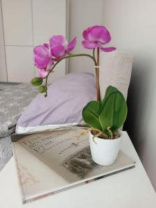 Fotografie z fotogalerie ubytování Carpe Diem Vrbas v destinaci Vrbas