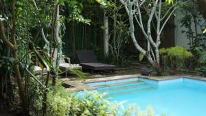 a swimming pool in a garden with a bench and trees at Yoga Lover in Yogyakarta