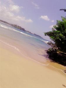 una playa de arena con árboles y el océano en Talalla Wonder View, en Talalla South