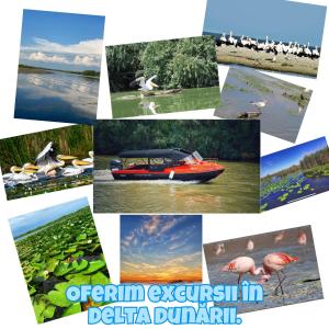 Fotografie z fotogalerie ubytování Casa Trandafirilor v destinaci Tulcea