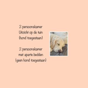 Fotografie z fotogalerie ubytování Zilt Texel v destinaci De Cocksdorp