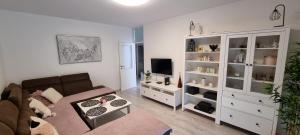 Televízia a/alebo spoločenská miestnosť v ubytovaní BabyLu apartman