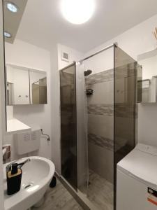 a bathroom with a shower and a sink at CASEROM Studio in Satu Mare