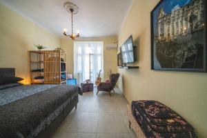 a bedroom with a bed and a tv and a chair at Sunlit artist studio in Belgrade