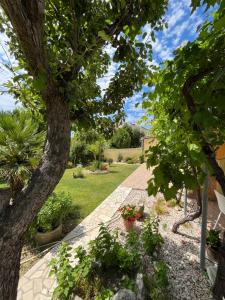 a garden with a tree and a walkway at Apartments and Rooms Markovski in Rab