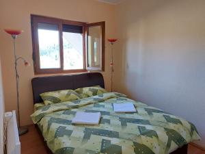 a bedroom with a bed with two towels on it at Apartman Žabljak in Žabljak