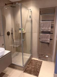 bagno con doccia in vetro e lavandino di Ruhiges Designer Apartment in Zentrum & Rheinnähe a Bonn