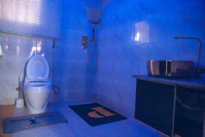 a blue bathroom with a toilet and a shower at Somewhere Apartment in Gwarinpa