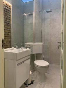 a bathroom with a toilet and a sink and a shower at Sunlit artist studio in Belgrade