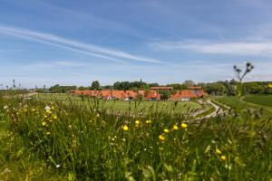 a field of grass and flowers with houses in the background at LA 4a - Ferienreihenhaus in Schottwarden