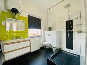 ein Bad mit einem Waschbecken, einer Dusche und einem WC in der Unterkunft Green Skyline - Central studio with stunning view in Budapest