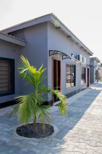 a palm tree in front of a house at JRK Apartments & Services Limited in Lusaka