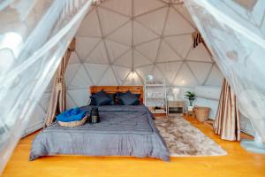 Schlafzimmer mit einem Bett in einem Kuppelzelt in der Unterkunft ภูสกาย โฮมสเตย์ in Mon Jam