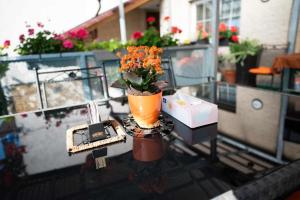 Balkón nebo terasa v ubytování Apartmán LUKA