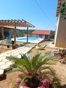 een tuin met een palmboom en een zwembad bij Chácara do Cardoso in Três Marias