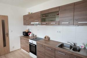 Kuchyň nebo kuchyňský kout v ubytování Apartmán LUKA
