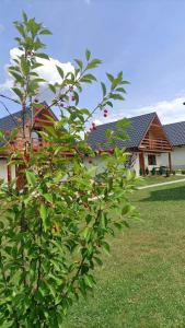 a tree in a yard next to a house at Ośrodek Wypoczynkowy Osada Solina in Ustrzyki Dolne