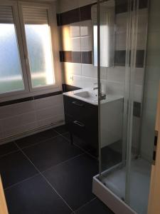 a bathroom with a shower and a sink at Appartement f3 au calme in Florange