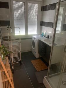 a bathroom with a shower and a sink and a washing machine at Appartement f3 au calme in Florange