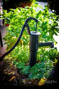 a garden hose is hooked up to a plant at Agriturismo Olistella in Palazzolo dello Stella