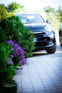 un coche aparcado junto a unos arbustos y flores púrpuras en Agriturismo Olistella, en Palazzolo dello Stella