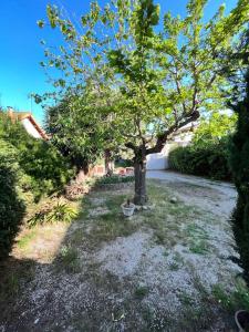Gallery image of Agréable maison provençale avec jardin in Marseille