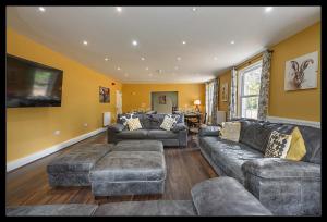 ein großes Wohnzimmer mit Sofas und einem TV in der Unterkunft Stubbs House, Loddon, sleeps 20, 2 hot tubs in Loddon