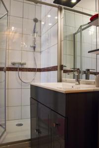 Pouilly-sous-Charlieu奥克斯龙杰酒店的带水槽和淋浴的浴室