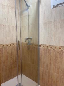 a shower with a glass door in a bathroom at El balcón del Duero in Aranda de Duero