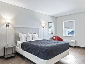 Легло или легла в стая в Ocala Suites