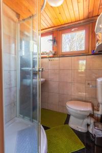a bathroom with a toilet and a glass shower at Finnhütte 9 
