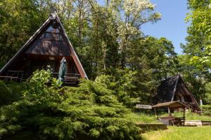 domek w lesie z drzewami w obiekcie Finnhütte 9 