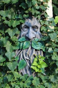a statue of a man with a ivy covered beard at B&B Lory's Dream in Fontanafredda