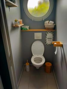 Elle comprend une petite salle de bains pourvue de toilettes et d'une fenêtre. dans l'établissement Maison au calme chez Djé et Lucie, à La Chapelle-dʼAligné