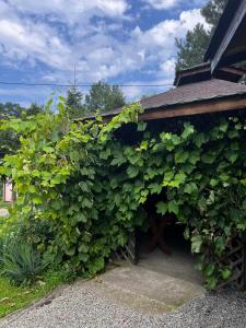 Galeriebild der Unterkunft Rajsko in Polańczyk