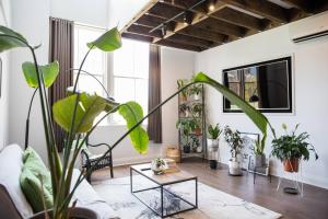 a living room filled with lots of plants at Loft-Style Living - Sophisticated Urban Retreat in Sydney