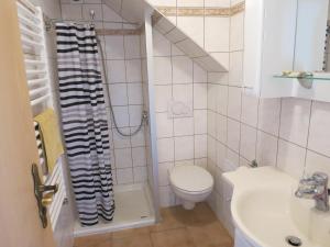 een kleine badkamer met een toilet en een wastafel bij Ferienwohnung Schlesinger in Hohnstein