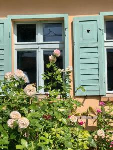 a window with blue shutters and roses at Gut Leben Landresort in Bernau bei Berlin