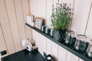 a shelf with a potted plant on a wall at Ostas Mājas in Engure