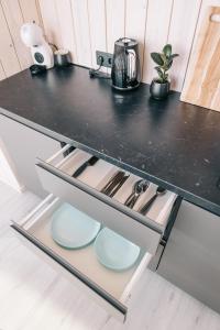 a kitchen with a counter top with plates and utensils at Ostas Mājas in Engure