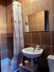 ein Bad mit einem Waschbecken und einem Duschvorhang in der Unterkunft Rajsko in Polańczyk