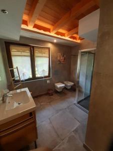 uma casa de banho com um chuveiro, um lavatório e um WC. em Tranquillità e Relax em Villeneuve
