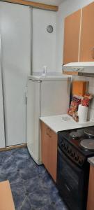 a kitchen with a white refrigerator and a stove at Apartman Boba in Ruma
