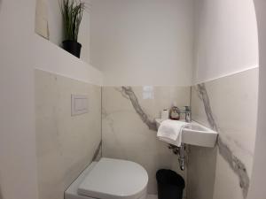 a white bathroom with a toilet and a sink at City Apartment Schotten Vienna in Vienna